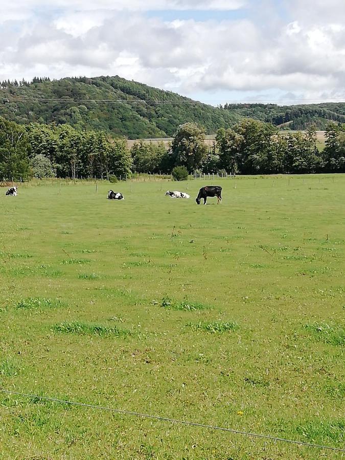 Ferienhaus Am Kuhstall Bad Muenstereifel Eksteriør bilde